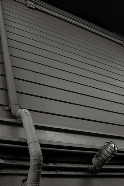 Haas-Lilienthal House